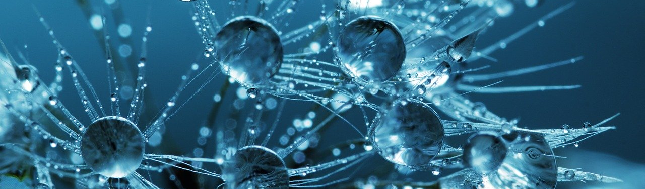 pommeau de douche economie d'eau grohe